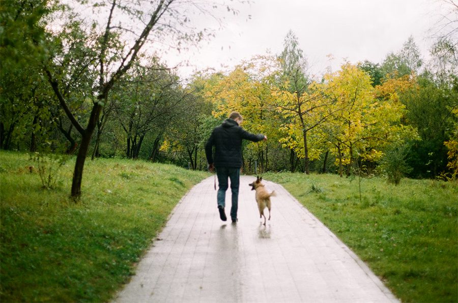 Man and dog in park technology human brain